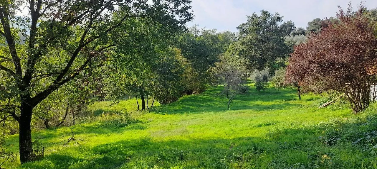 Campsite Agricampeggio La Casa Di Nicla Cavriglia